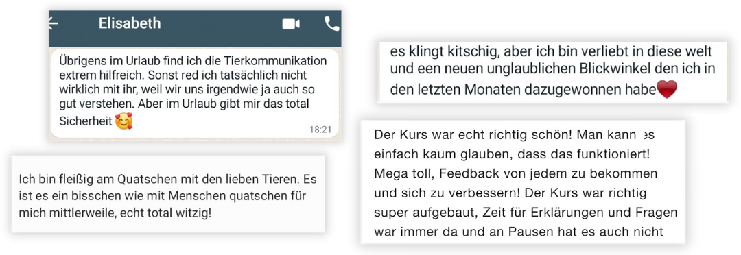 Feedback Pferdetelepathie-Kurs 2