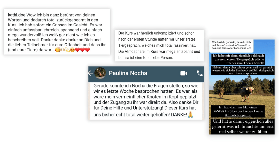 Tierkommunikation Kurs Feedback 1